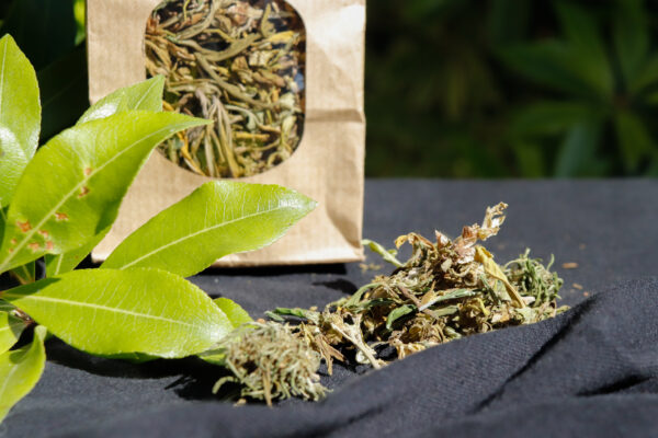 Hemp tea - Image 2