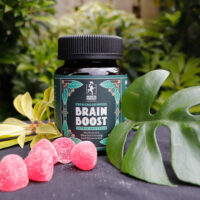 REM Brain Boost Gummies