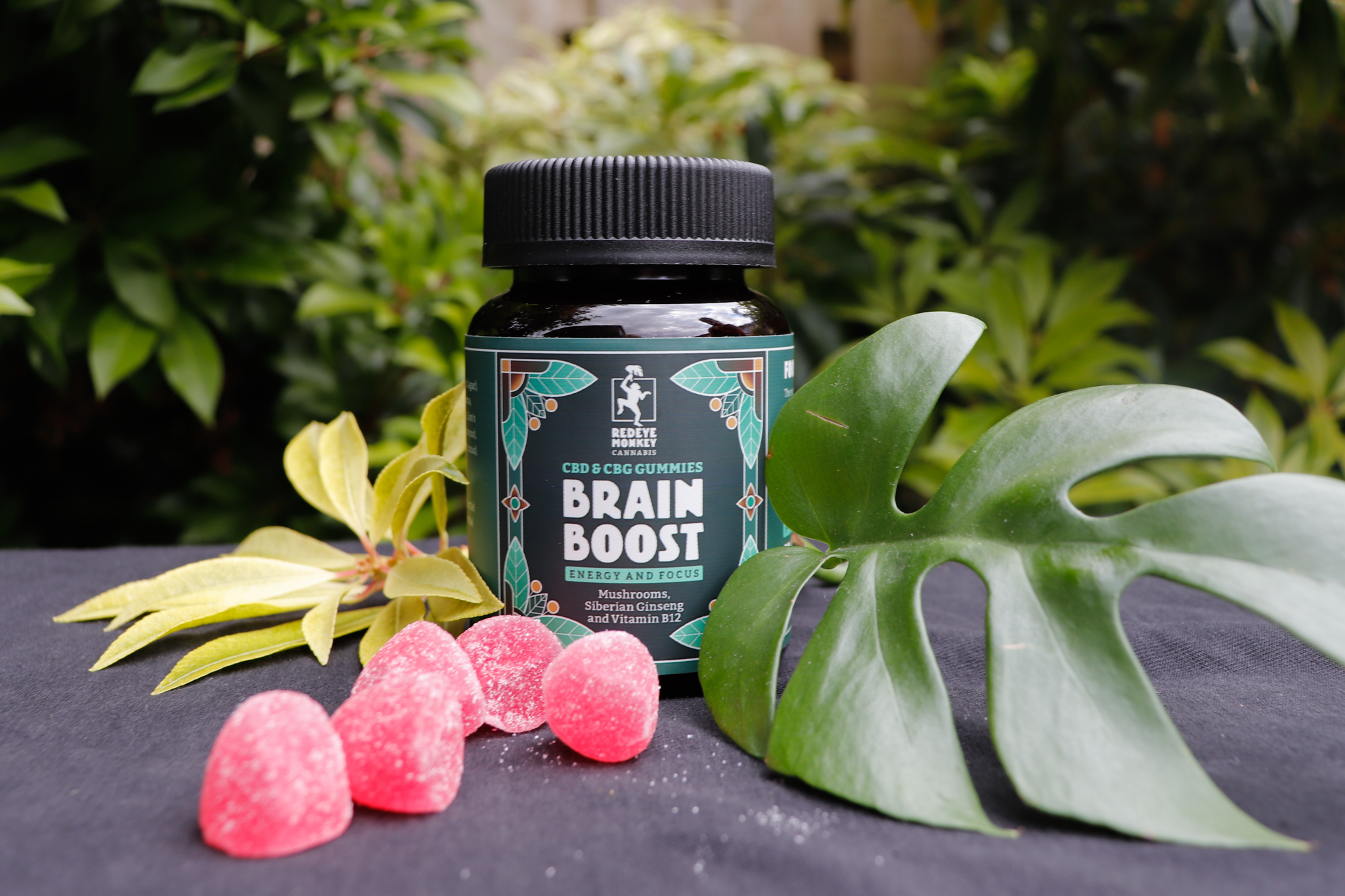 REM Brain Boost Gummies