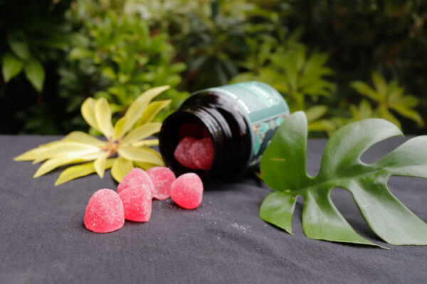 REM Brain Boost Gummies - Image 2