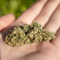 CBD Flower CBG