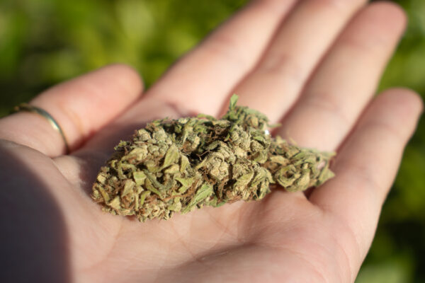 CBD Flower CBG