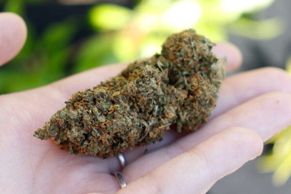 CBD Flower Strawberry HAZE