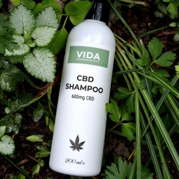CBD Shampoo