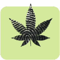 CBD Dispensary