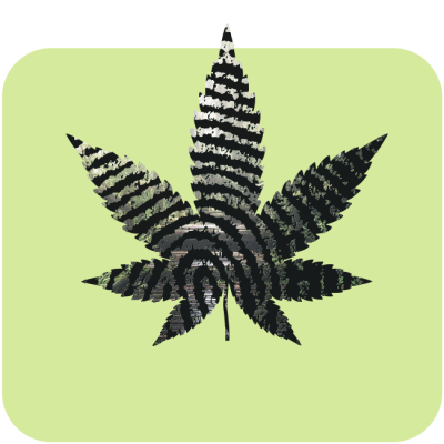 cbddispensary2